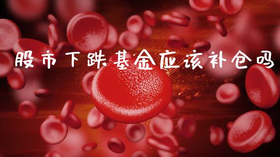 股市下跌基金应该补仓吗_https://www.lansai.wang_基金理财_第1张