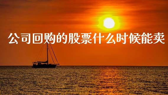 公司回购的股票什么时候能卖_https://www.lansai.wang_期货资讯_第1张