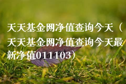 天天基金网净值查询今天（天天基金网净值查询今天最新净值011103）_https://www.lansai.wang_基金理财_第1张