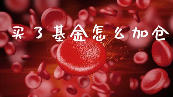 买了基金怎么加仓_https://www.lansai.wang_理财百科_第1张