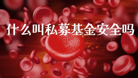 什么叫私募基金安全吗_https://www.lansai.wang_基金理财_第1张