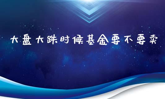 大盘大跌时候基金要不要卖_https://www.lansai.wang_基金理财_第1张