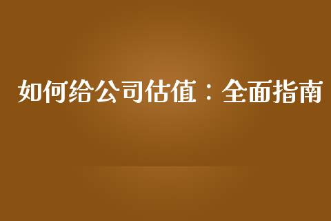 如何给公司估值：全面指南_https://www.lansai.wang_股指期货_第1张