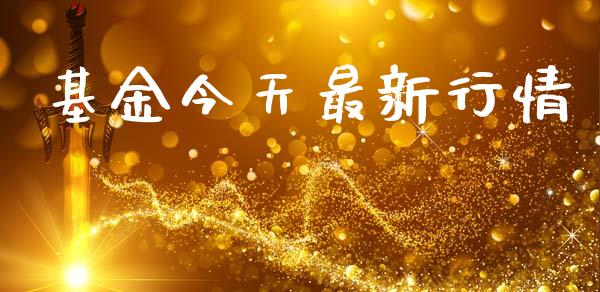 基金今天最新行情_https://www.lansai.wang_未分类_第1张
