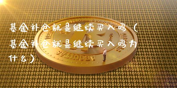 基金补仓就是继续买入吗（基金补仓就是继续买入吗为什么）_https://www.lansai.wang_基金理财_第1张
