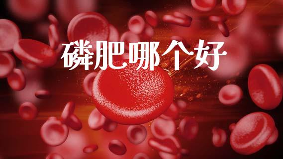 磷肥哪个好_https://www.lansai.wang_恒生指数_第1张