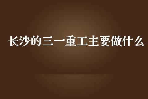 长沙的三一重工主要做什么_https://www.lansai.wang_股票知识_第1张