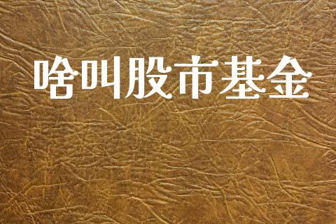 啥叫股市基金_https://www.lansai.wang_基金理财_第1张