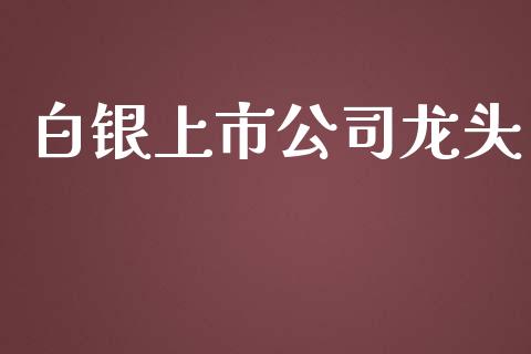 白银上市公司龙头_https://www.lansai.wang_期货行情_第1张