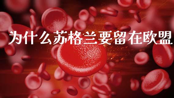 为什么苏格兰要留在欧盟_https://www.lansai.wang_期货直播_第1张