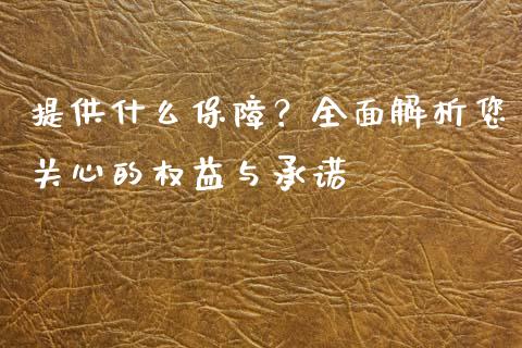 提供什么保障？全面解析您关心的权益与承诺_https://www.lansai.wang_恒生指数_第1张