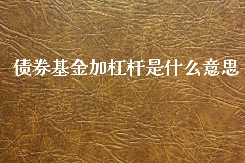 债券基金加杠杆是什么意思_https://www.lansai.wang_基金理财_第1张