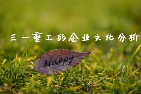 三一重工的企业文化分析_https://www.lansai.wang_股票问答_第1张