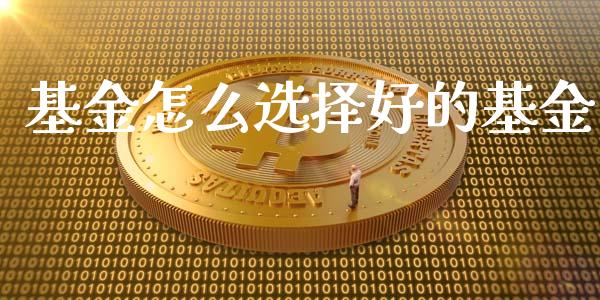 基金怎么选择好的基金_https://www.lansai.wang_基金理财_第1张