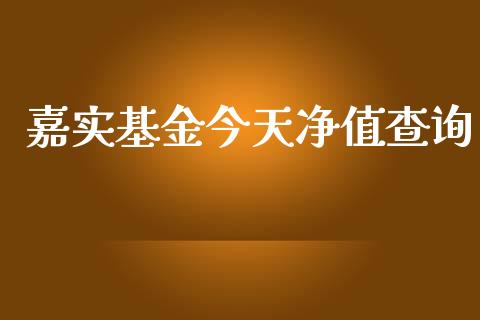 嘉实基金今天净值查询_https://www.lansai.wang_基金理财_第1张