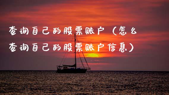 查询自己的股票账户（怎么查询自己的股票账户信息）_https://www.lansai.wang_股票问答_第1张