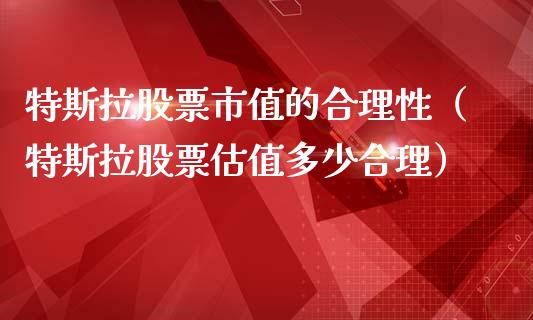 特斯拉股票市值的合理性（特斯拉股票估值多少合理）_https://www.lansai.wang_股票知识_第1张