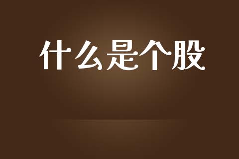 什么是个股_https://www.lansai.wang_股票知识_第1张