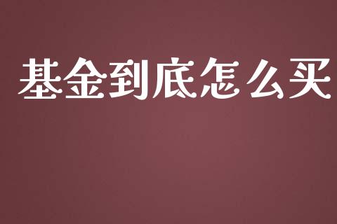 基金到底怎么买_https://www.lansai.wang_基金理财_第1张