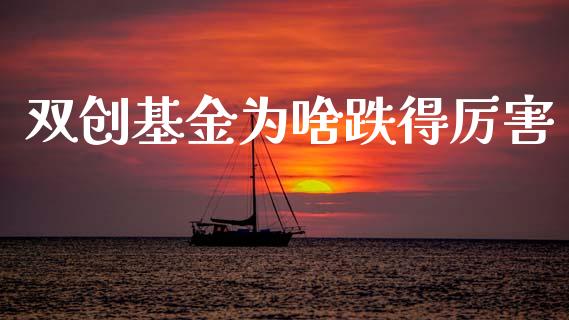 双创基金为啥跌得厉害_https://www.lansai.wang_基金理财_第1张