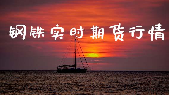 钢铁实时期货行情_https://www.lansai.wang_期货学院_第1张