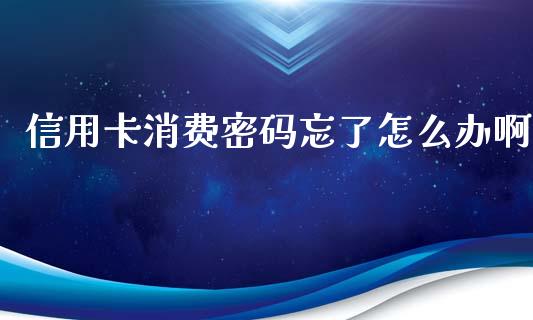 信用卡消费密码忘了怎么办啊_https://www.lansai.wang_期货行情_第1张