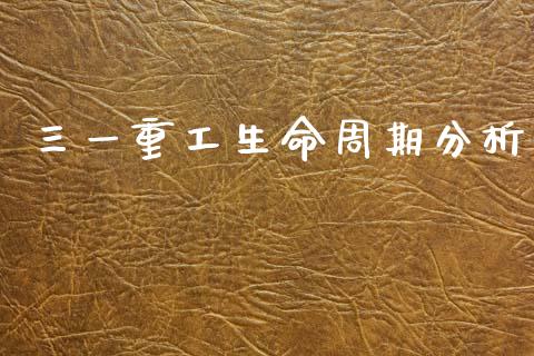 三一重工生命周期分析_https://www.lansai.wang_股票知识_第1张