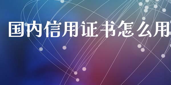 国内信用证书怎么用_https://www.lansai.wang_期货学院_第1张