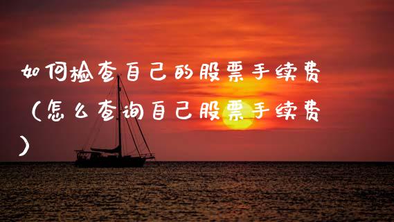 如何检查自己的股票手续费（怎么查询自己股票手续费）_https://www.lansai.wang_股票问答_第1张