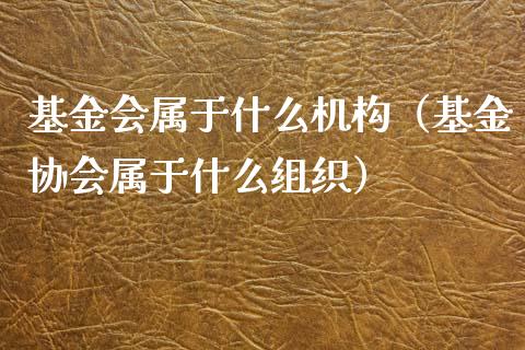 基金会属于什么机构（基金协会属于什么组织）_https://www.lansai.wang_基金理财_第1张