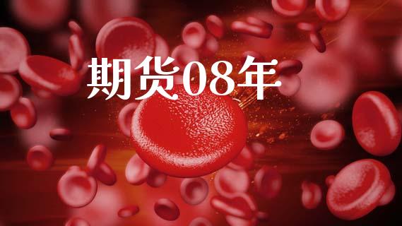 期货08年_https://www.lansai.wang_基金理财_第1张