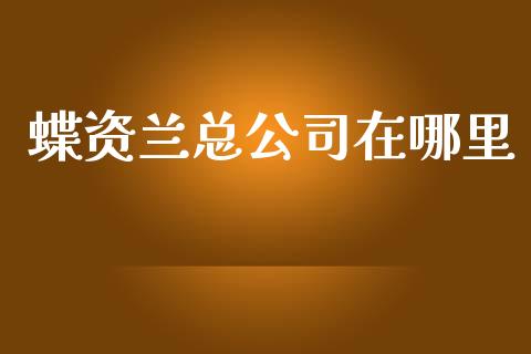 蝶资兰总公司在哪里_https://www.lansai.wang_股票知识_第1张