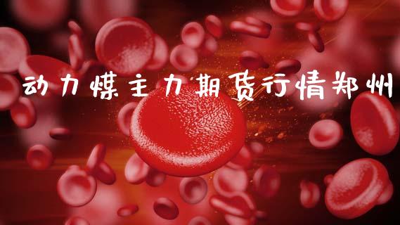 动力煤主力期货行情郑州_https://www.lansai.wang_期货资讯_第1张