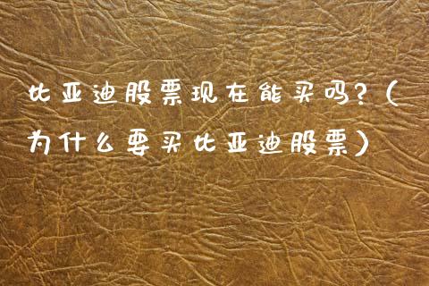 比亚迪股票现在能买吗?（为什么要买比亚迪股票）_https://www.lansai.wang_股票问答_第1张