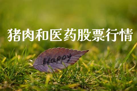 猪肉和医药股票行情_https://www.lansai.wang_股票知识_第1张