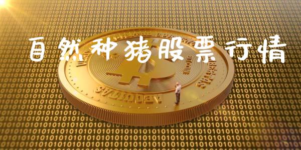 自然种猪股票行情_https://www.lansai.wang_股票问答_第1张