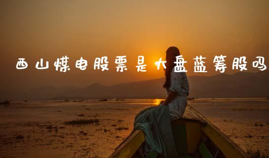 西山煤电股票是大盘蓝筹股吗_https://www.lansai.wang_基金理财_第1张