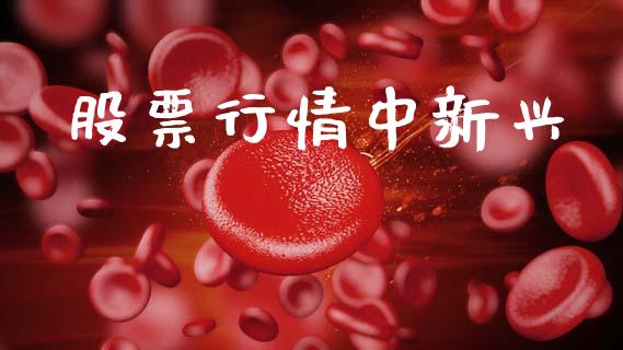 股票行情中新兴_https://www.lansai.wang_股票问答_第1张