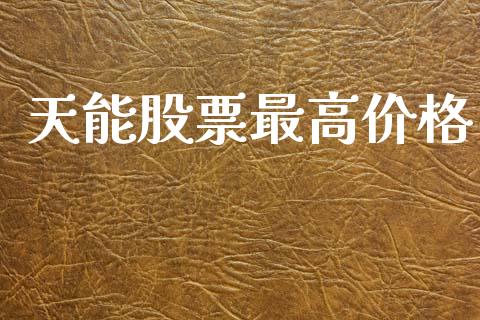 天能股票最高价格_https://www.lansai.wang_基金理财_第1张