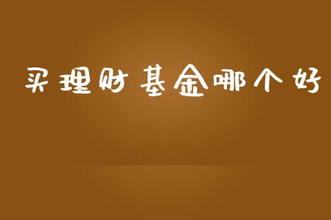 买理财基金哪个好_https://www.lansai.wang_基金理财_第1张