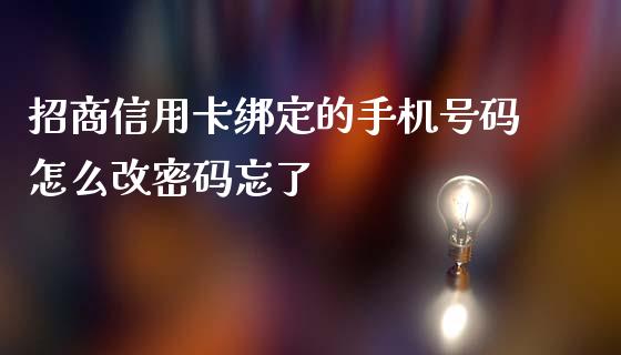 招商信用卡绑定的手机号码怎么改密码忘了_https://www.lansai.wang_理财百科_第1张