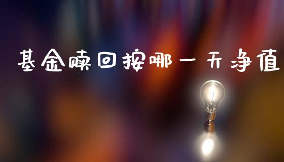 基金赎回按哪一天净值_https://www.lansai.wang_基金理财_第1张