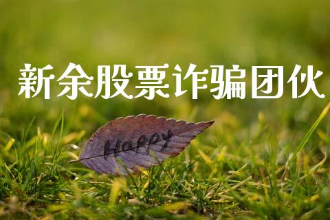 新余股票诈骗团伙_https://www.lansai.wang_期货行情_第1张