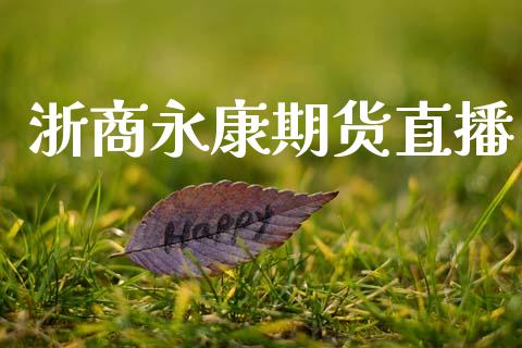 浙商永康期货直播_https://www.lansai.wang_期货直播_第1张