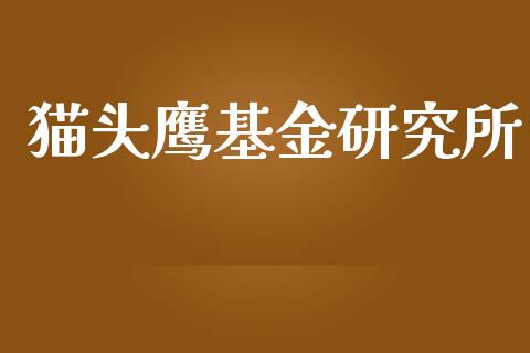 猫头鹰基金研究所_https://www.lansai.wang_基金理财_第1张