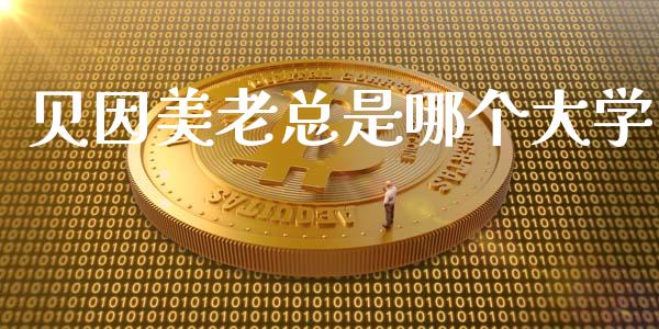 贝因美老总是哪个大学_https://www.lansai.wang_期货行情_第1张