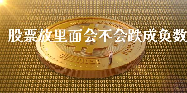 股票放里面会不会跌成负数_https://www.lansai.wang_股票知识_第1张