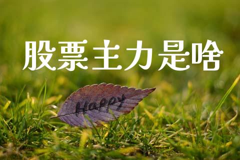 股票主力是啥_https://www.lansai.wang_期货行情_第1张
