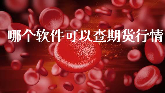 哪个软件可以查期货行情_https://www.lansai.wang_期货行情_第1张