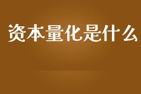 资本量化是什么_https://www.lansai.wang_理财百科_第1张